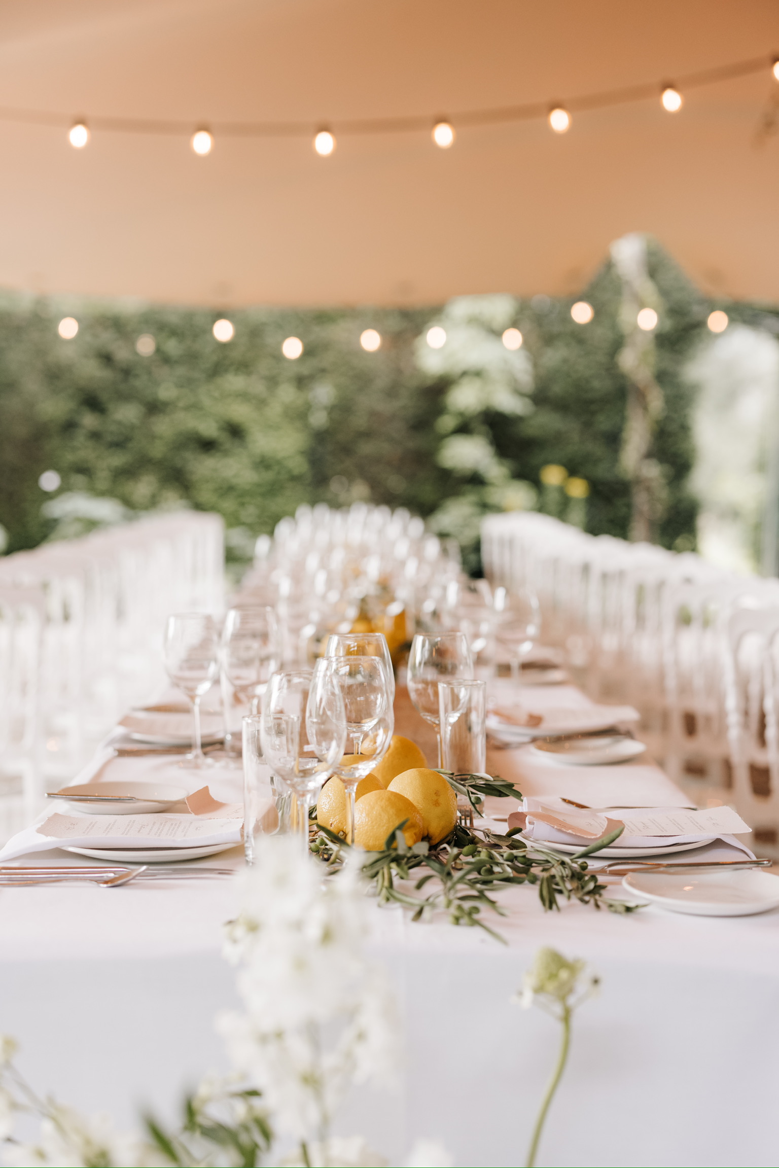 Shirley_wedding037