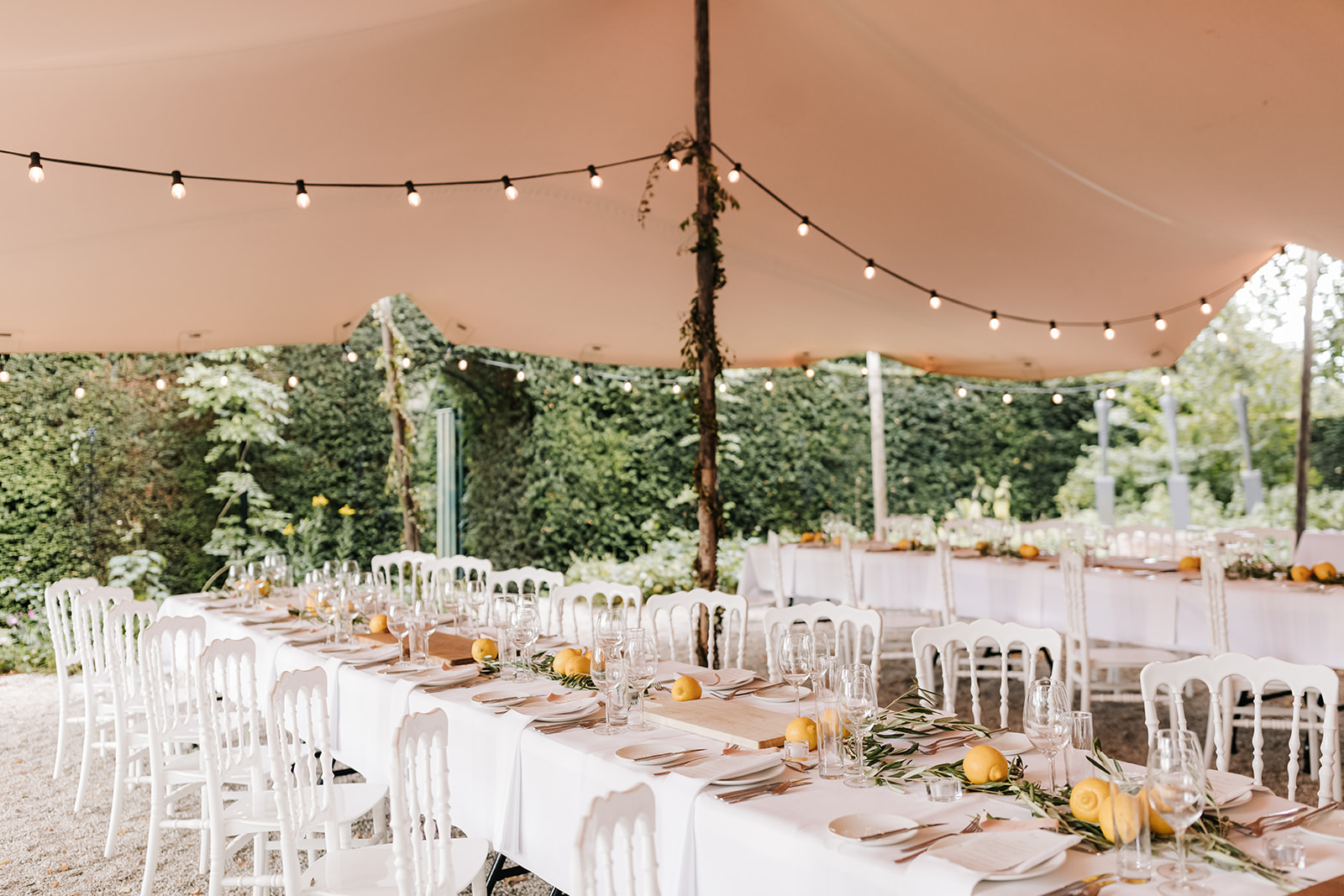 Shirley_wedding029